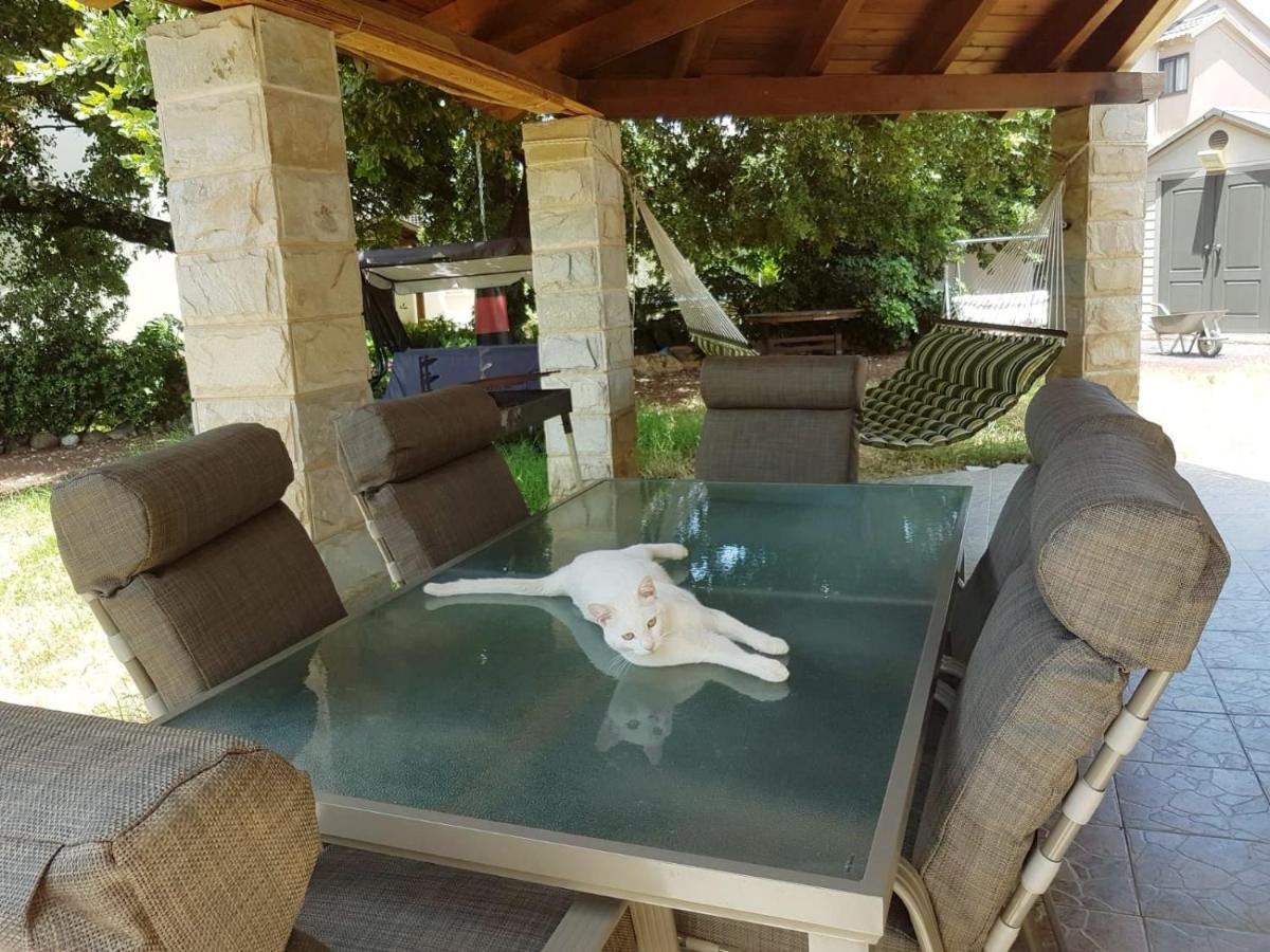 Huge & Private Villa In Kibbutz Дафна Экстерьер фото