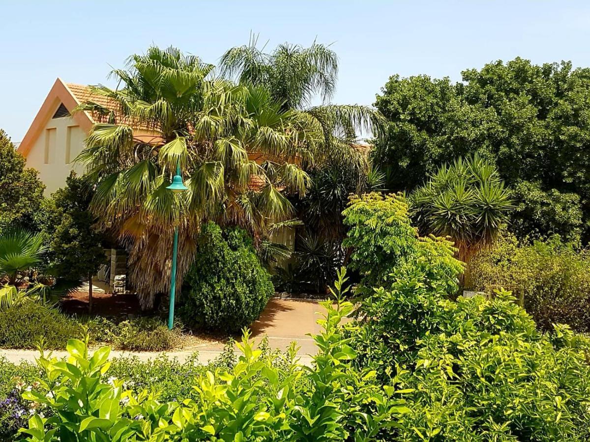 Huge & Private Villa In Kibbutz Дафна Экстерьер фото